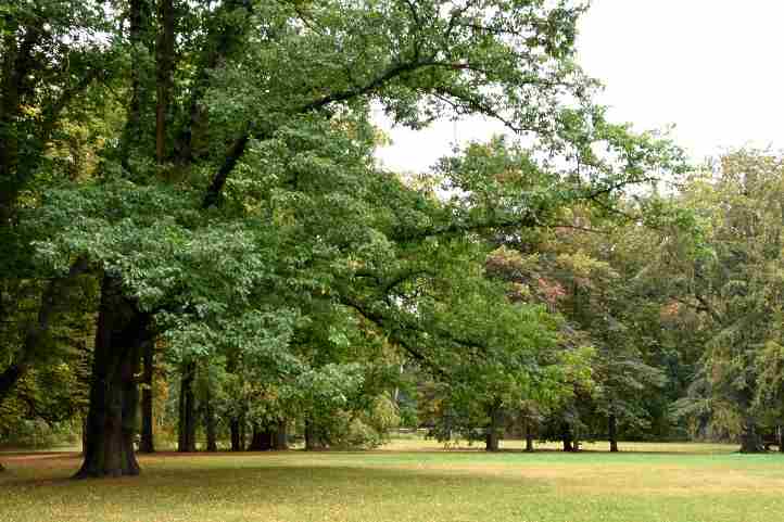 Im Park Biesdorf.