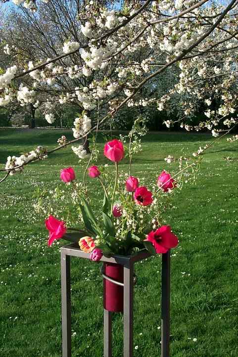 Blumenarrangement unter der Baumblüte im Britzer Garten.