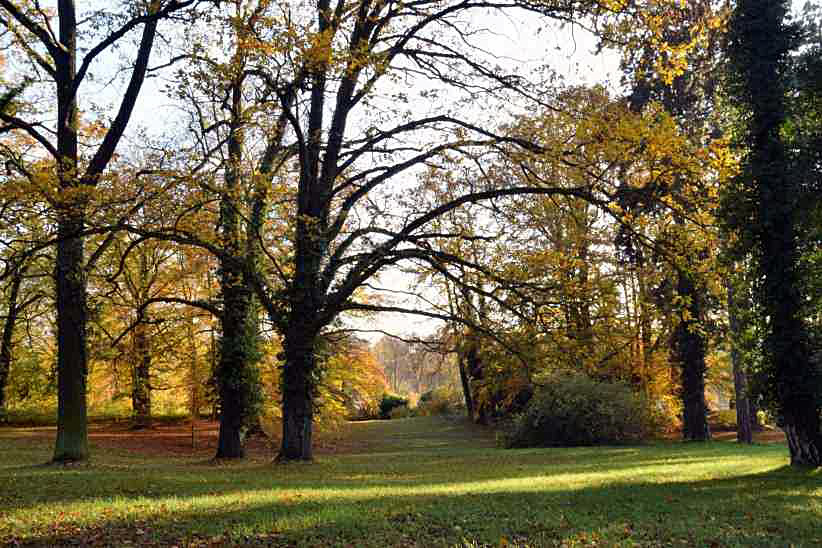 Herbstlicher Park in Sanssouci.