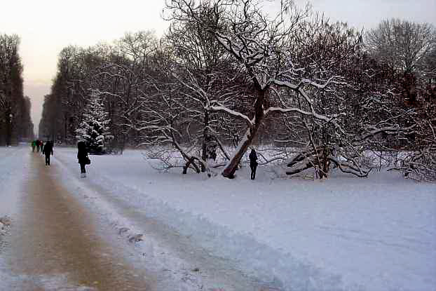 Vom Schnee befreiter Park-Hauptweg.