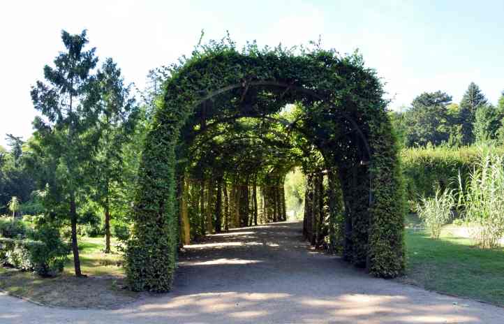 Pergolen-Umlauf im Sizilianischen Garten - Sanssouci.